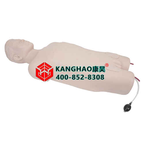 股动脉穿刺模拟人模型