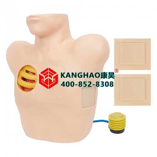 胸腔穿刺引流模型