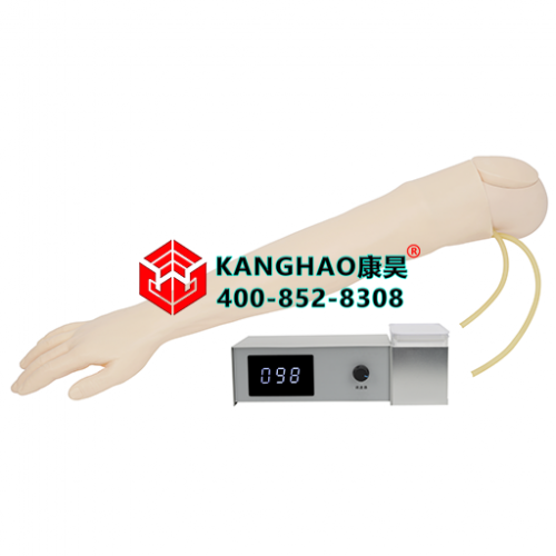 全功能静脉穿刺输液手臂模型